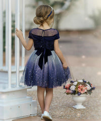 Amelie Navy Flower Girl Dress